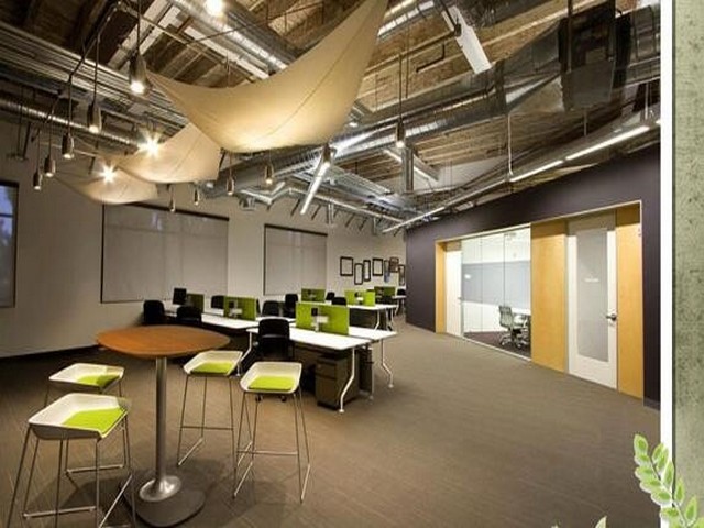 丰泽区四害消杀工具