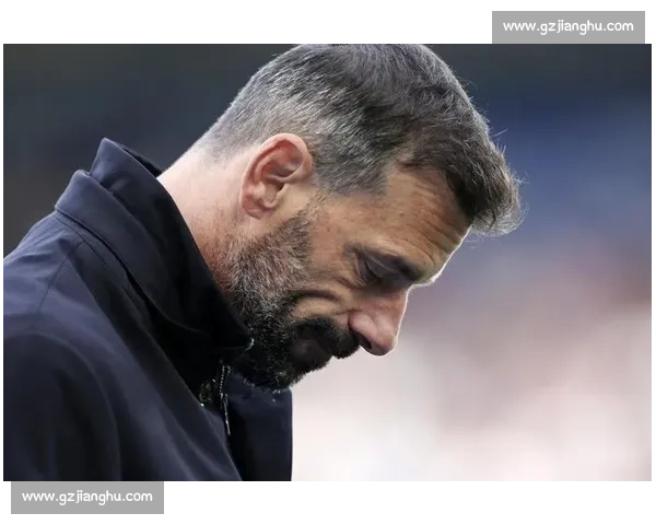 范尼下课震动英超：莱斯特城董事会危机大起